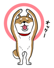 I see-shell sticker #1647282