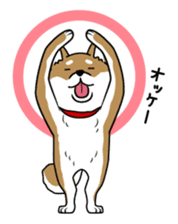 I see-shell sticker #1647282