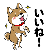 I see-shell sticker #1647283