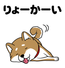 I see-shell sticker #1647284