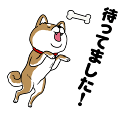 I see-shell sticker #1647286