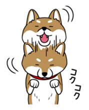 I see-shell sticker #1647287