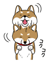 I see-shell sticker #1647287