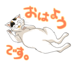 Yuki-chiyo the calico cat sticker #1649713