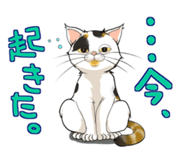 Yuki-chiyo the calico cat sticker #1649714