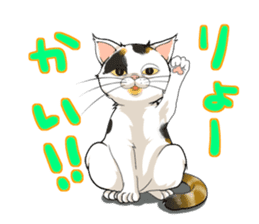 Yuki-chiyo the calico cat sticker #1649719
