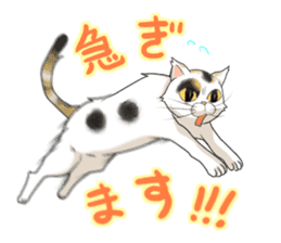 Yuki-chiyo the calico cat sticker #1649721