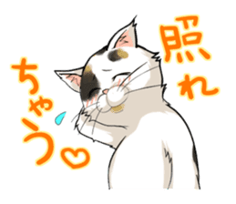 Yuki-chiyo the calico cat sticker #1649723