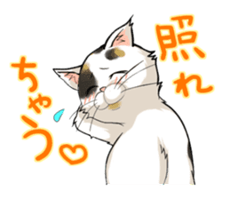 Yuki-chiyo the calico cat sticker #1649723