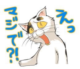 Yuki-chiyo the calico cat sticker #1649724