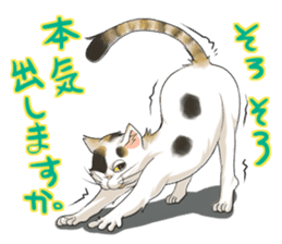 Yuki-chiyo the calico cat sticker #1649730