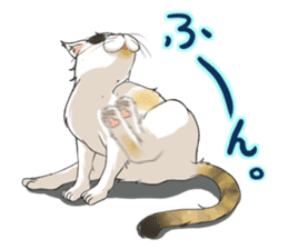 Yuki-chiyo the calico cat sticker #1649731