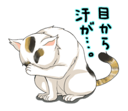 Yuki-chiyo the calico cat sticker #1649739
