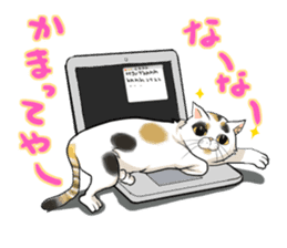 Yuki-chiyo the calico cat sticker #1649740
