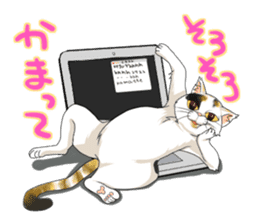 Yuki-chiyo the calico cat sticker #1649741