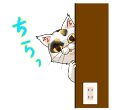 Yuki-chiyo the calico cat sticker #1649743