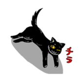 Black Cat KANN-CHAN sticker #1649841