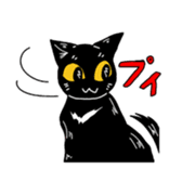 Black Cat KANN-CHAN sticker #1649852