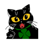 Black Cat KANN-CHAN sticker #1649864