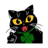 Black Cat KANN-CHAN sticker #1649864