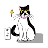 Black Cat KANN-CHAN sticker #1649870