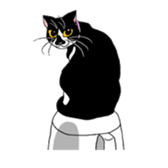 Black Cat KANN-CHAN sticker #1649871