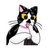Black Cat KANN-CHAN sticker #1649872