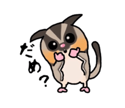 JIJI of the Sugar Glider sticker #1651673