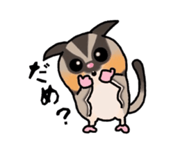 JIJI of the Sugar Glider sticker #1651673