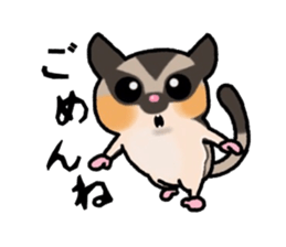 JIJI of the Sugar Glider sticker #1651674