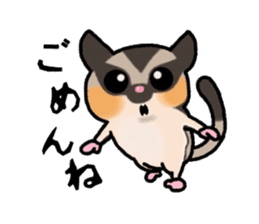 JIJI of the Sugar Glider sticker #1651674