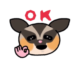 JIJI of the Sugar Glider sticker #1651675