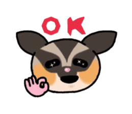 JIJI of the Sugar Glider sticker #1651675