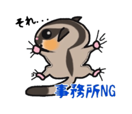 JIJI of the Sugar Glider sticker #1651676