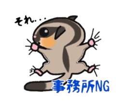 JIJI of the Sugar Glider sticker #1651676