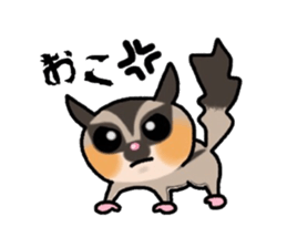 JIJI of the Sugar Glider sticker #1651679