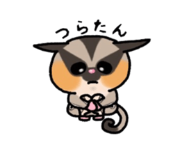 JIJI of the Sugar Glider sticker #1651680