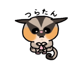 JIJI of the Sugar Glider sticker #1651680