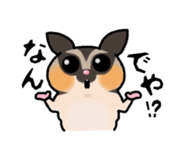 JIJI of the Sugar Glider sticker #1651681