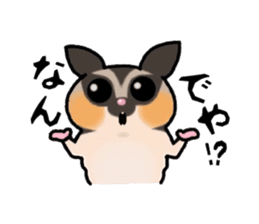JIJI of the Sugar Glider sticker #1651681