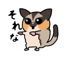 JIJI of the Sugar Glider sticker #1651682