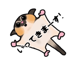 JIJI of the Sugar Glider sticker #1651683