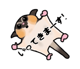 JIJI of the Sugar Glider sticker #1651683