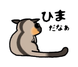JIJI of the Sugar Glider sticker #1651684