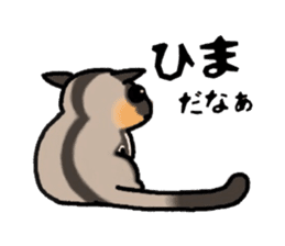 JIJI of the Sugar Glider sticker #1651684