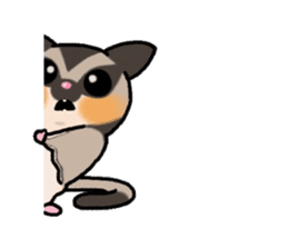 JIJI of the Sugar Glider sticker #1651685