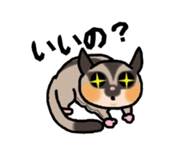 JIJI of the Sugar Glider sticker #1651686