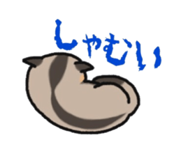 JIJI of the Sugar Glider sticker #1651687