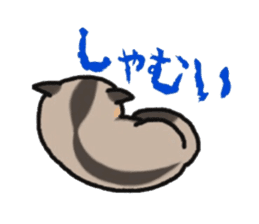 JIJI of the Sugar Glider sticker #1651687