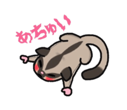 JIJI of the Sugar Glider sticker #1651688